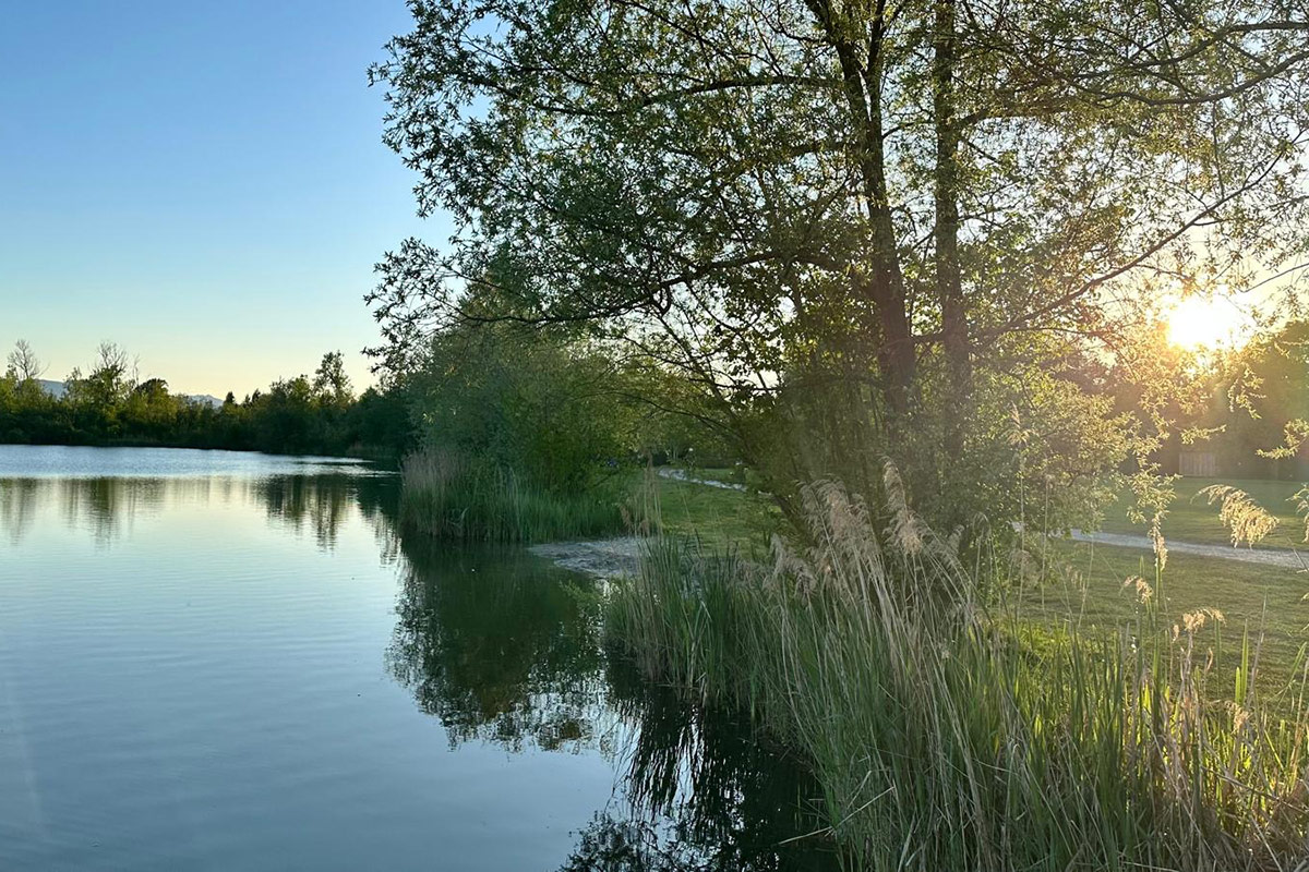 Fritto Mista - Das Badehäusl am Happinger Au See